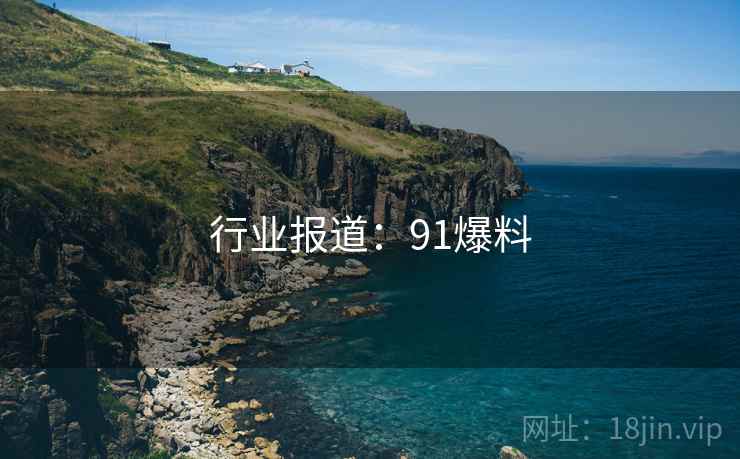 行业报道：91爆料