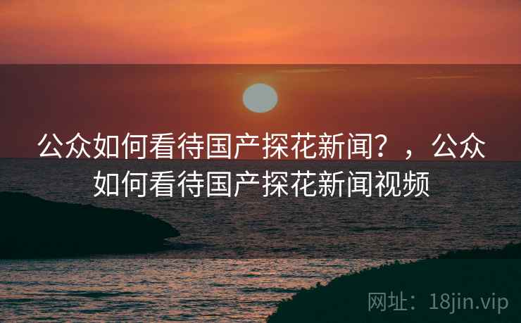 公众如何看待国产探花新闻？，公众如何看待国产探花新闻视频