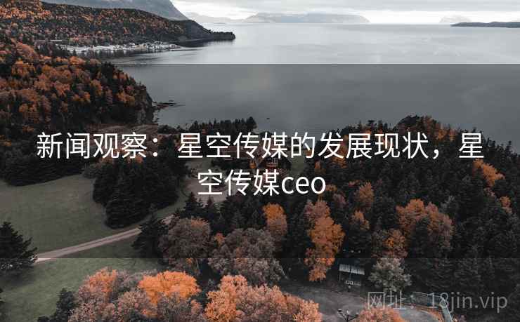 新闻观察：星空传媒的发展现状，星空传媒ceo