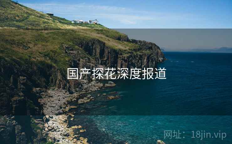 国产探花深度报道