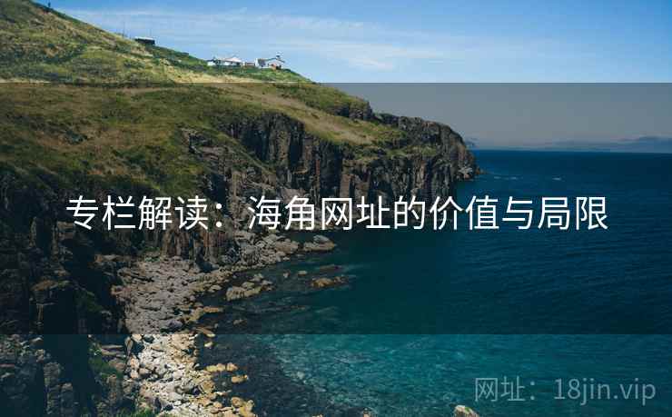 专栏解读：海角网址的价值与局限