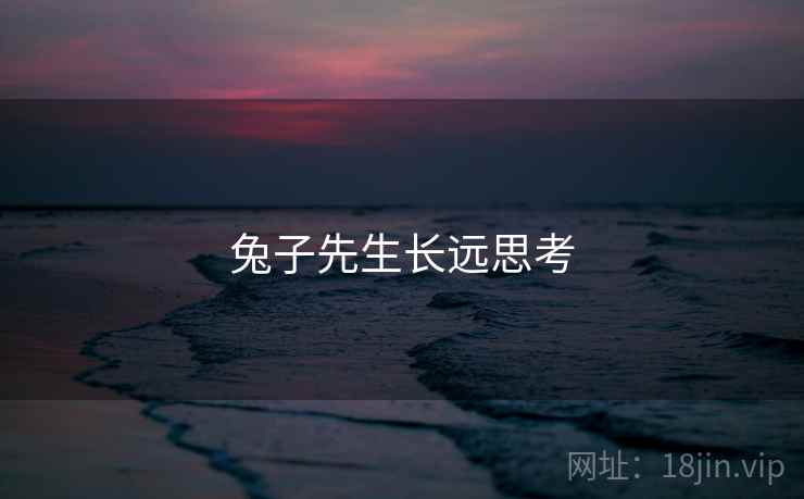 兔子先生长远思考