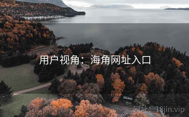 用户视角：海角网址入口
