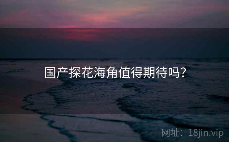 国产探花海角值得期待吗？