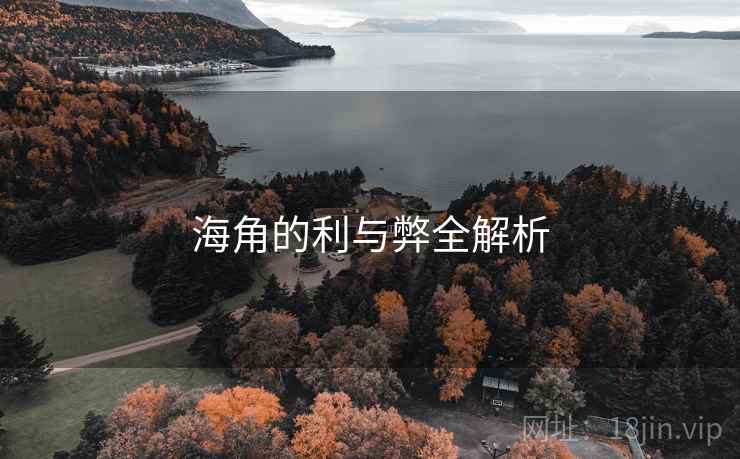 海角的利与弊全解析
