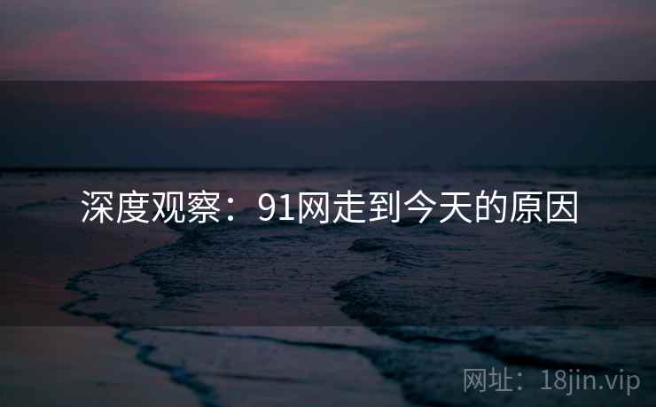 深度观察：91网走到今天的原因