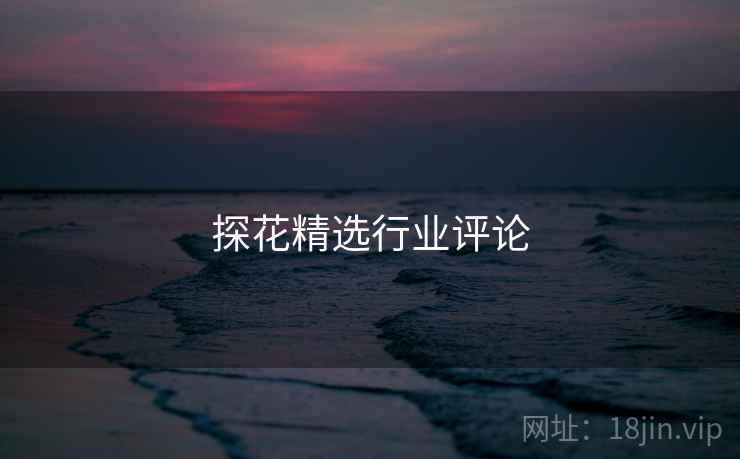 探花精选行业评论