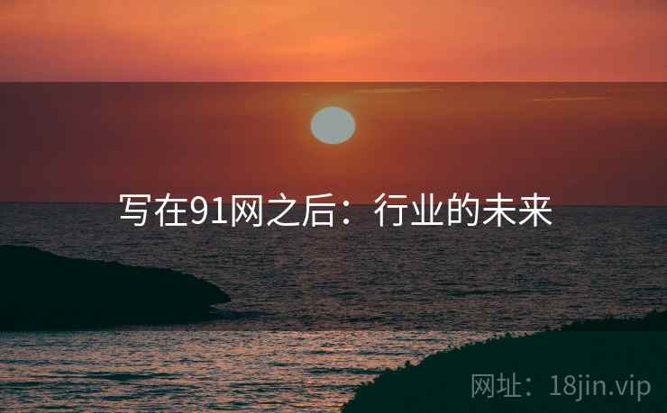 写在91网之后：行业的未来