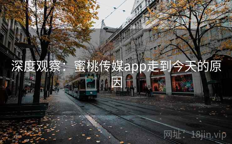 深度观察：蜜桃传媒app走到今天的原因